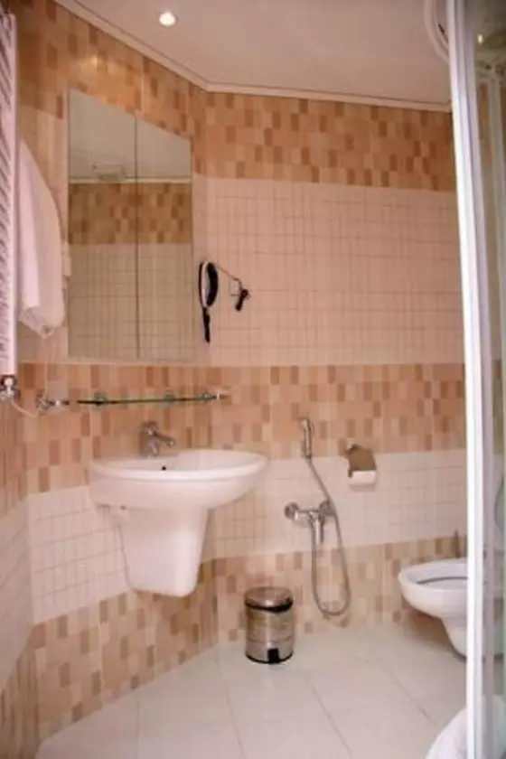 halekai_shabaviz (7).jpg